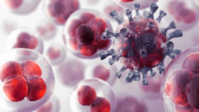 Â¿Por quÃ© la inmunoterapia es una estrategia imparable contra el cÃ¡ncer?