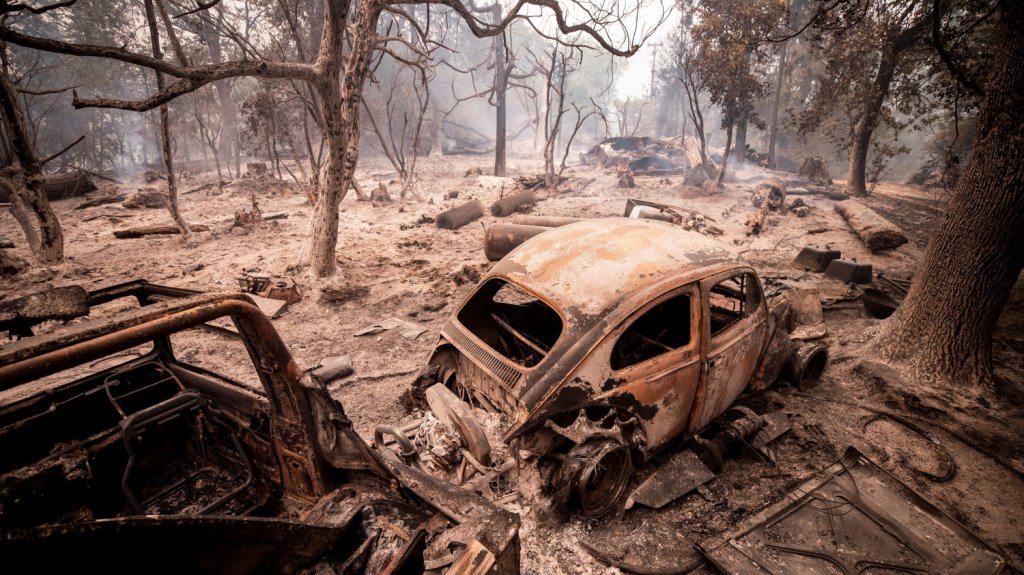 Quince muertos y cientos de miles de evacuados por los fuegos en el oeste de EE.UU. 