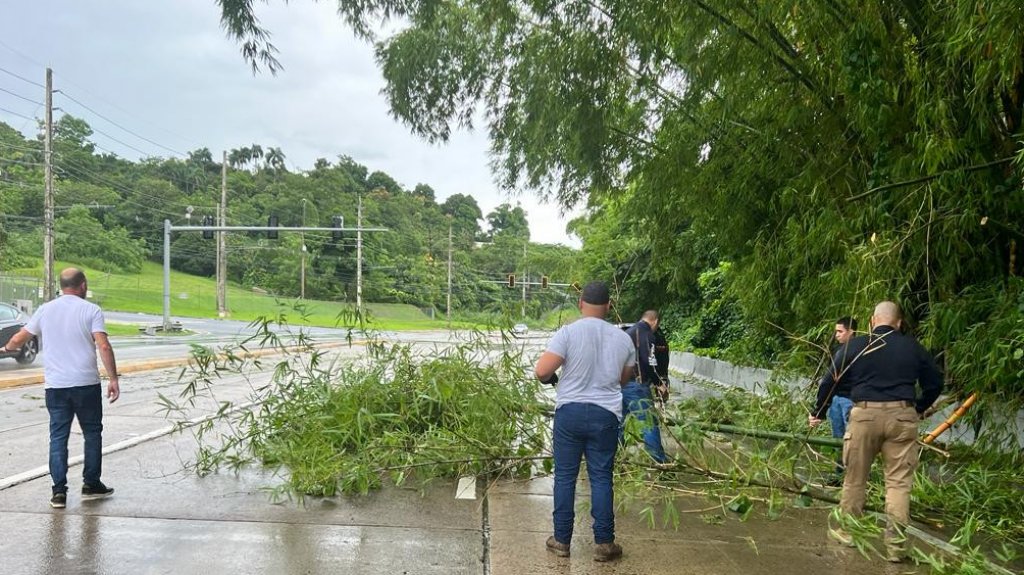  Agentes de Drogas Metro realizan limpieza de carretera 1 