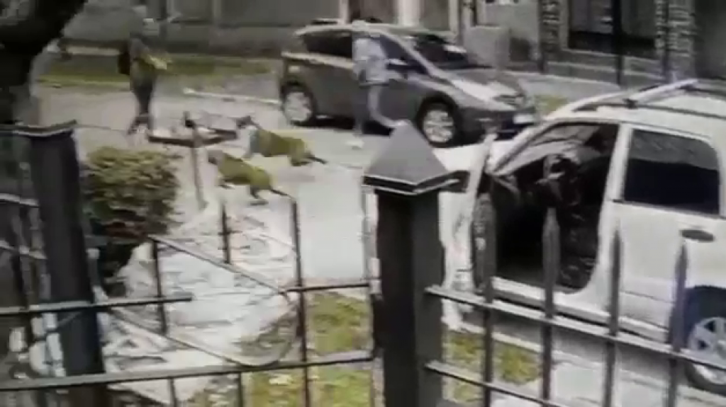  Video:&iexcl;H&eacute;roes! Dos perros salvan a su due&ntilde;o de ser asaltado 