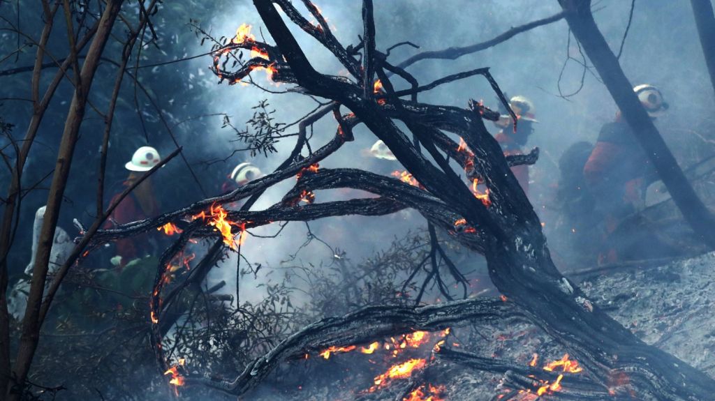  Incendio en noroeste de Florida ha arrasado 500 acres y obligado a desalojo 