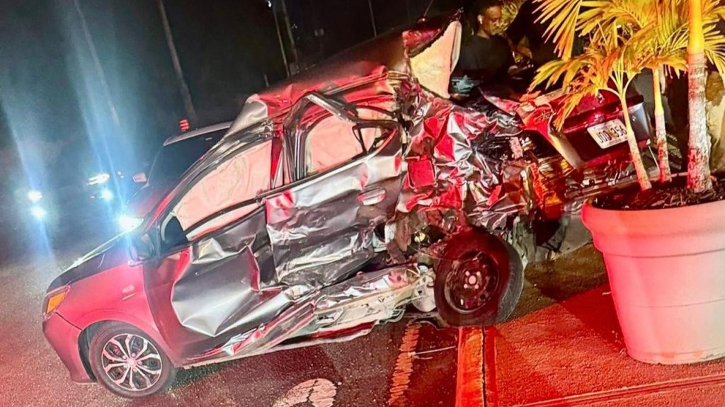  Video: Una mujer muerta y su hija herida en accidente de auto en Carolina 