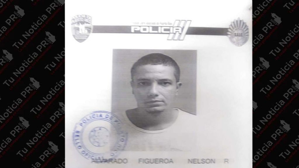  Arrestado por ley 54 en Toa Alta 