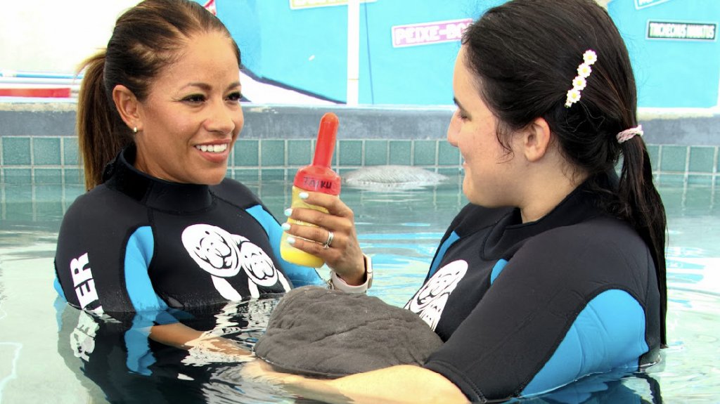  Centro de Conservación de Manatíes recibe apoyo del Municipio de Salinas, laentidad opera a base de donaciones 