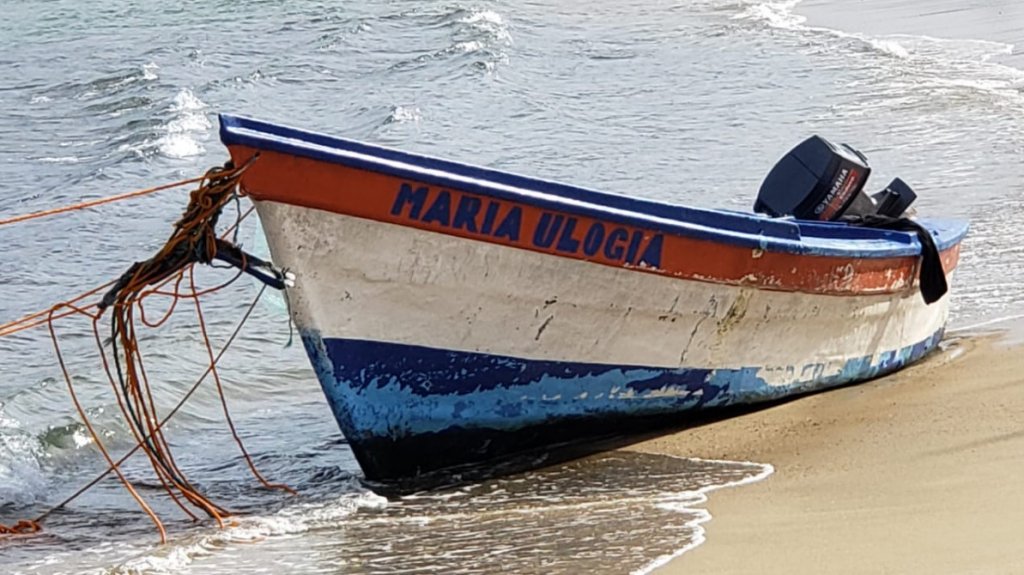  Detienen a cuatro inmigrantes en Camuy 