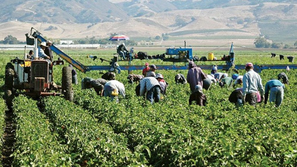  Sindicato demanda a Trump por plan que recortar&iacute;a salarios de campesinos 