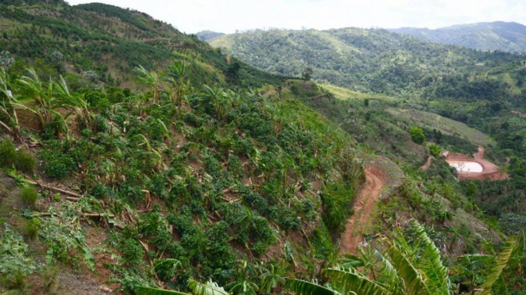  USDA invertir&aacute; hasta $225 millones en conservaci&oacute;n agr&iacute;cola en Puerto Rico 