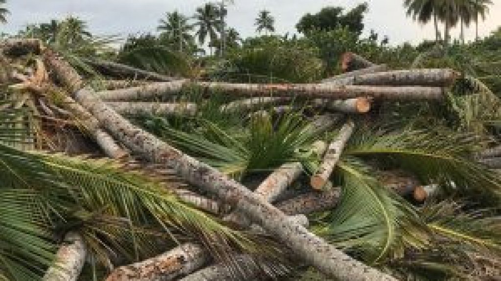  Demanda por la &ldquo;masacre ambiental&rdquo; en balneario de Vega Alta ser&aacute; responsabilidad de la nueva alcaldesa Mar&iacute;a Vega 