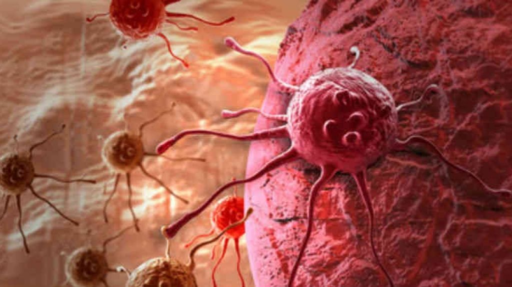 Descubren biomarcadores que identifican cÃ©lulas de cÃ¡ncer con poca oxigenaciÃ³n