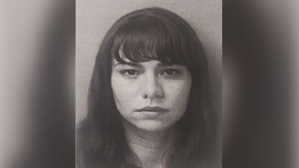  Presentan cargo contra mujer por Ley 54 en tribunal en Arecibo 