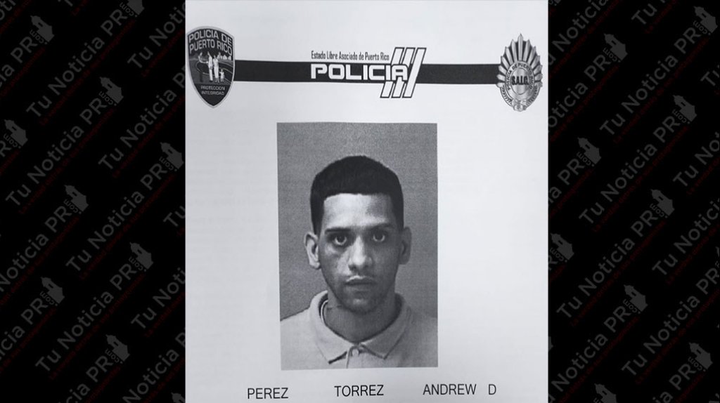  Cargos por Violencia Domestica en Manat&iacute; 