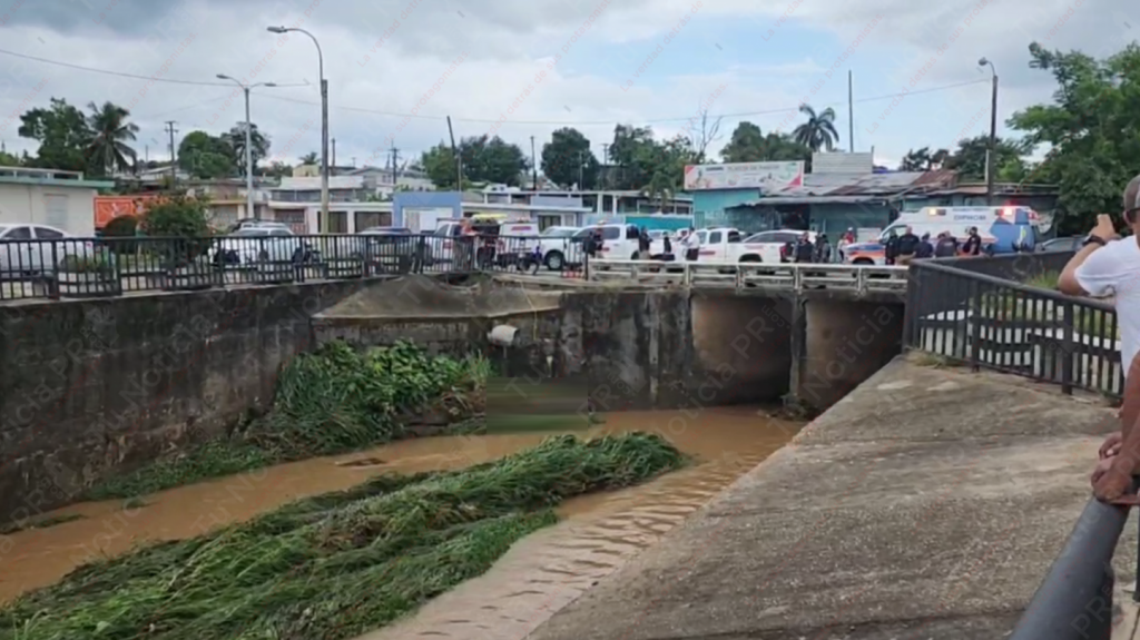  Video: Hombre se priva de la vida lanz&aacute;ndose de un puente en Bayam&oacute;n 