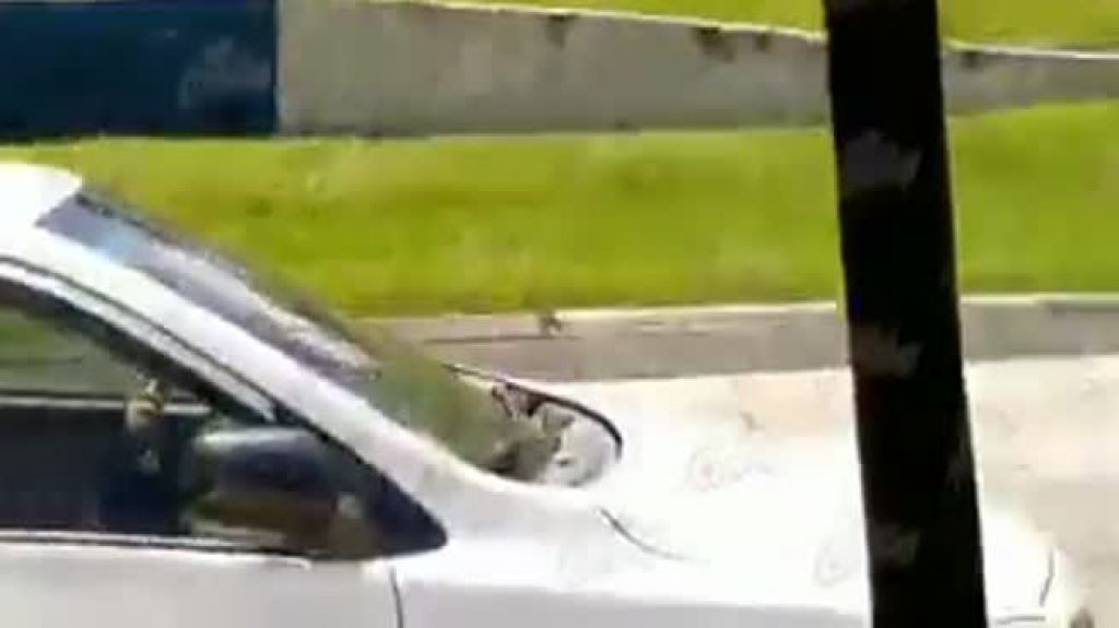  Captan en video una do&ntilde;ita transitando contra el tr&aacute;nsito en el expreso Martinez Nadal 