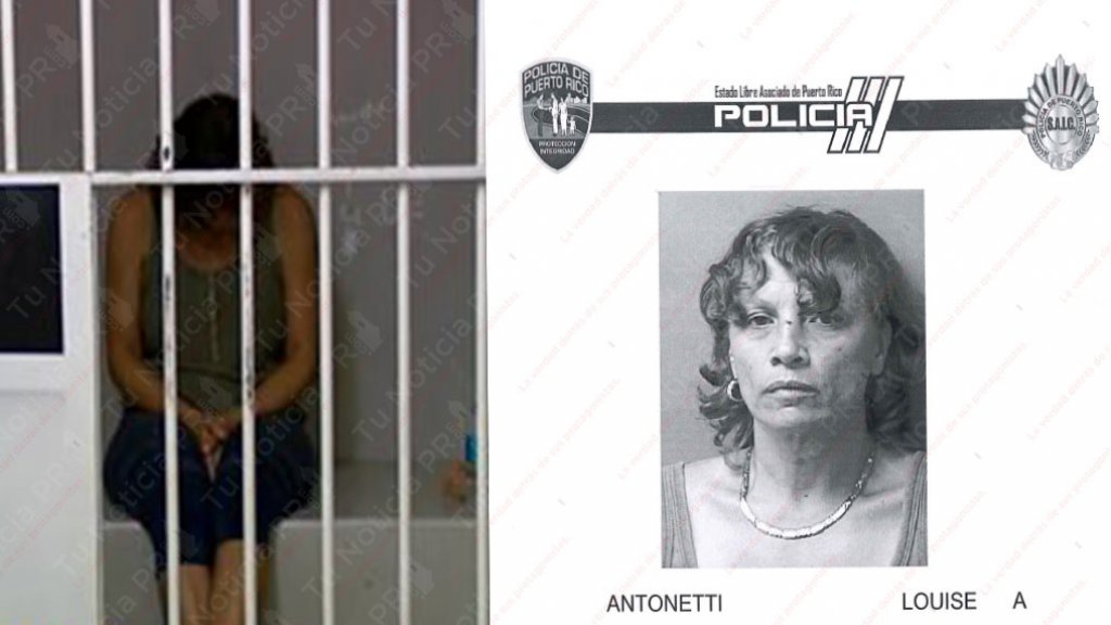  A la c&aacute;rcel turista que agredi&oacute; dos polic&iacute;as en el aeropuerto Luis Mu&ntilde;oz Marin 