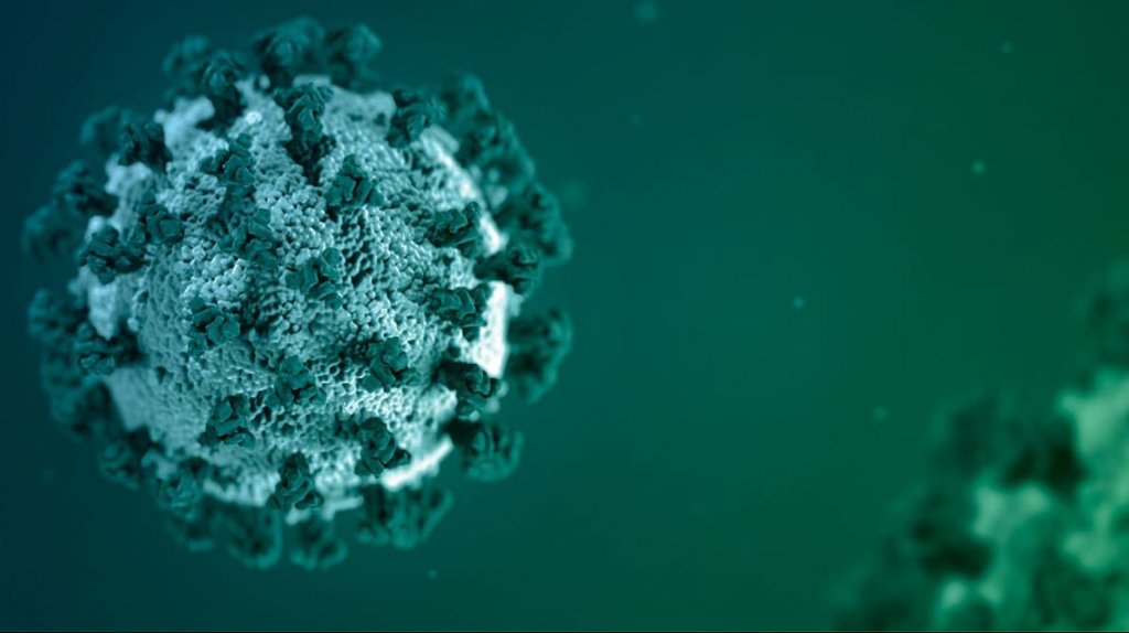  21 muertes, 5,166 casos y 31.4 la tasa de positividad por COVID-19 según informe del DS 