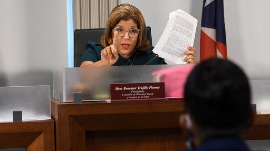  Dan paso a Ley para Prevenci&oacute;n del Maltrato y Preservaci&oacute;n de la Unidad Familiar 