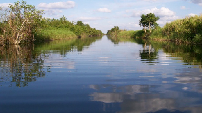 ComisiÃ³n senatorial verÃ¡ estado del CaÃ±o Tiburones
