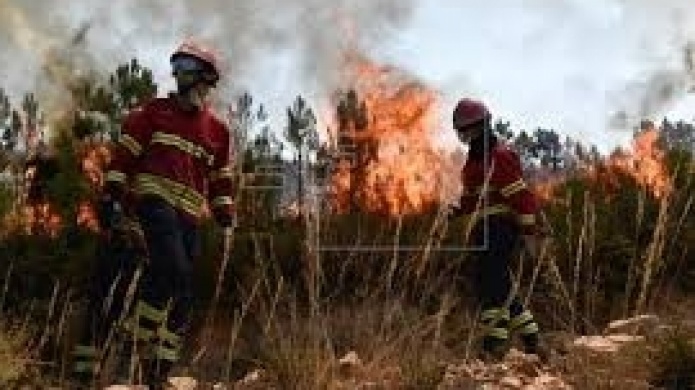 Video: MÃ¡s de 1.600 bomberos combaten cuatro grandes fuegos en el centro de Portugal