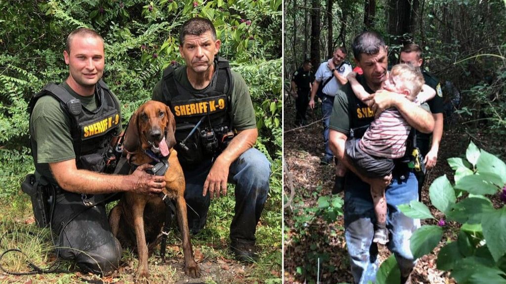  Sabuesos de Florida encuentran a un ni&ntilde;o de 3 a&ntilde;os desaparecido con autismo en menos de 30 minutos 