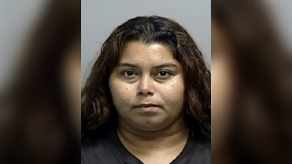  Mujer enfrenta cargos por maltrato a menor en Guayanilla 