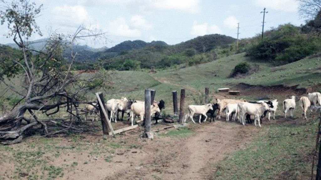  Director de USDA NRCS insta a los agricultores a prepararse para la sequ&iacute;a y las tormentas extremas 