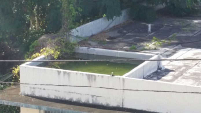 Edificio abandonad con criadero de mosquitos en MayagÃ¼ez no pertenece al Banco Popular 