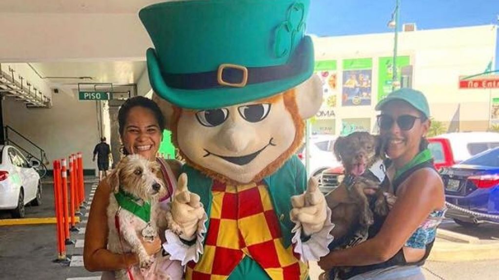  San Patricio Village permitir&aacute; la visita de mascotas aSan Patricio Plaza y Galeria San Patricio 