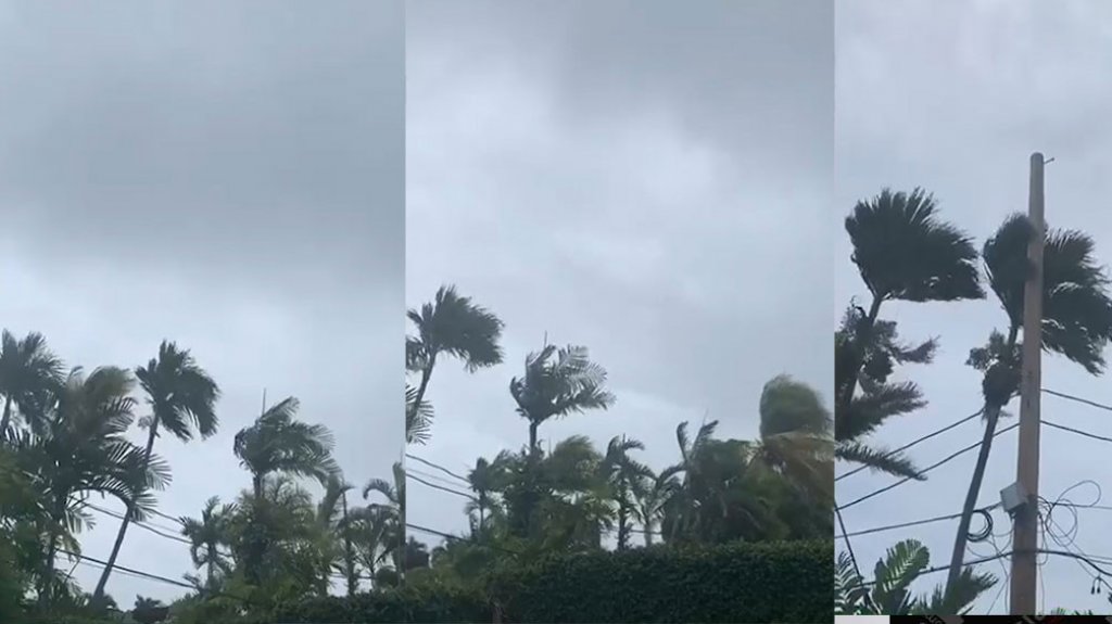  En video Primeras fuertes ráfagas de viento se sienten en Guaynabo 