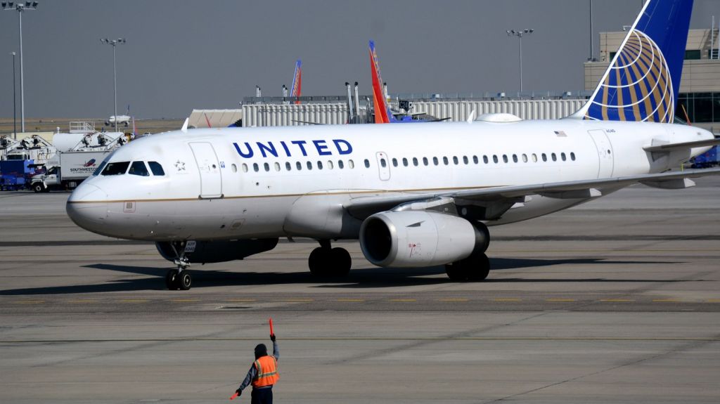  FOTO: Un escorpi&oacute;n pica a una pasajera en pleno vuelo de United Airlines 