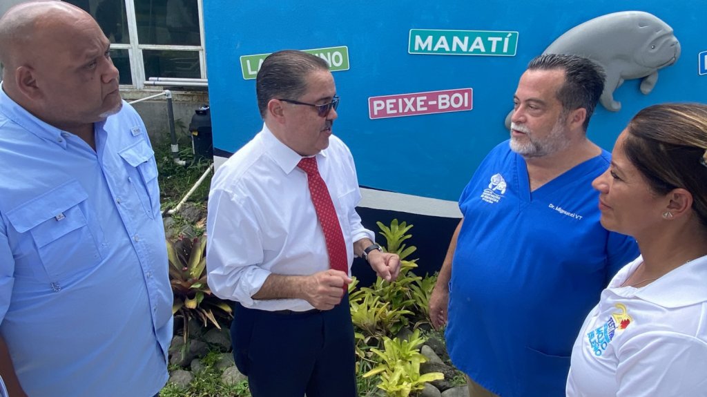  A fortalecer la protección a los manatíes, alcaldesa de Salinas propone medidas legales adicionales 