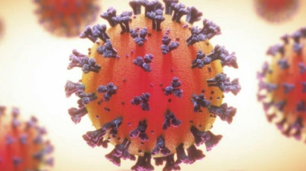  8 muertos y 366 hospitalizados en informe preliminar COVID-19 