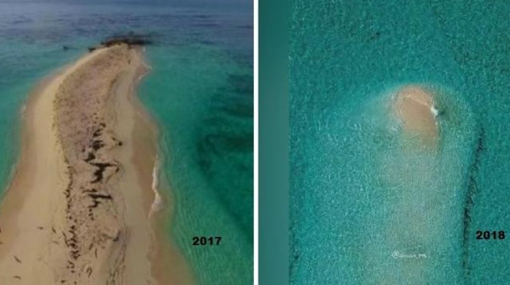  Video: Bajo el mar la isla de Palominito en Fajardo 