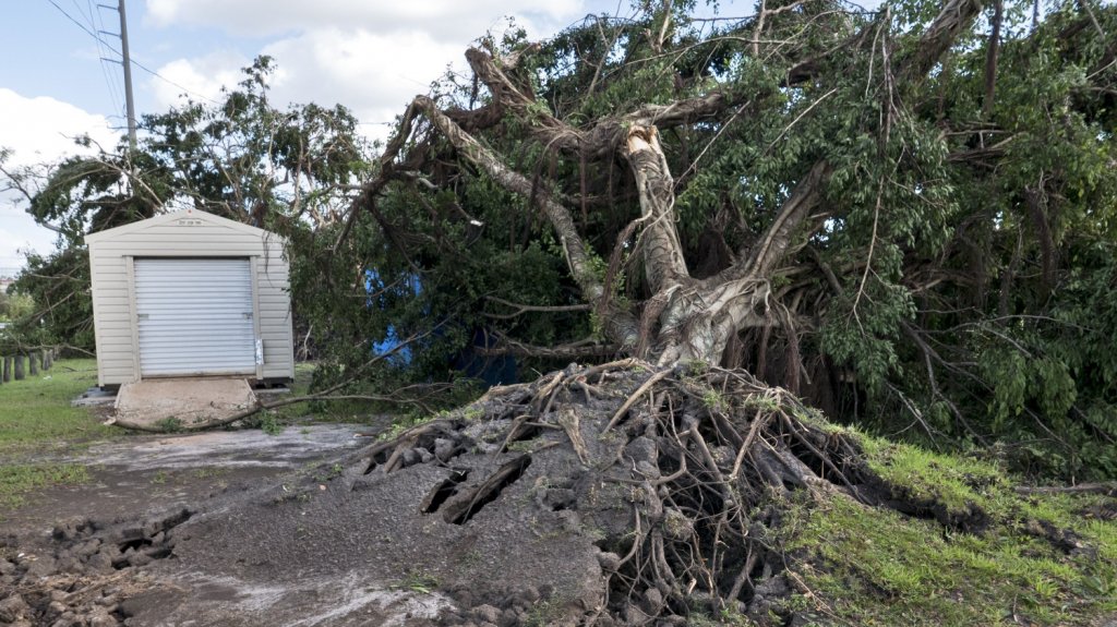  Un tornado deja numeroso da&ntilde;os pero no heridos en el oeste de Florida 