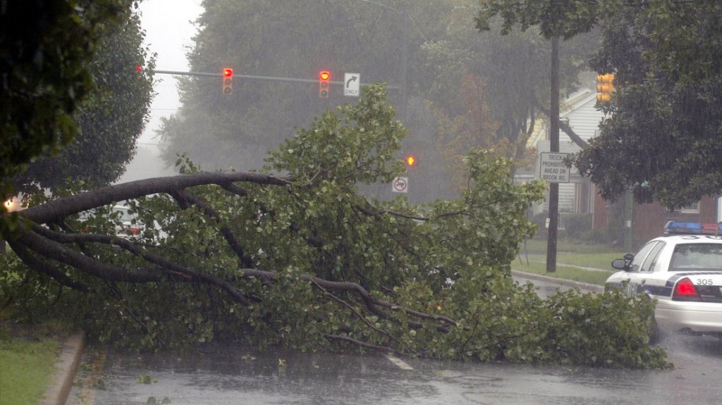  Muere una famosa &ldquo;tiktoker&ldquo; estadounidense al caer sobre su auto una rama de &aacute;rbol 