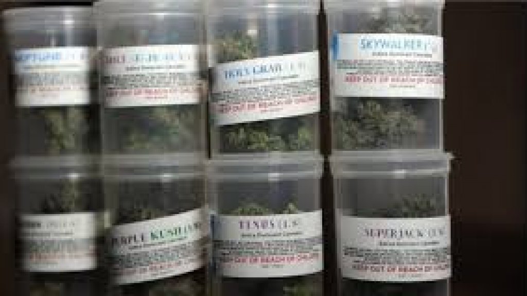  Presentan medida que busca proteger de empleo a pacientes certificados de cannabis medicinal 