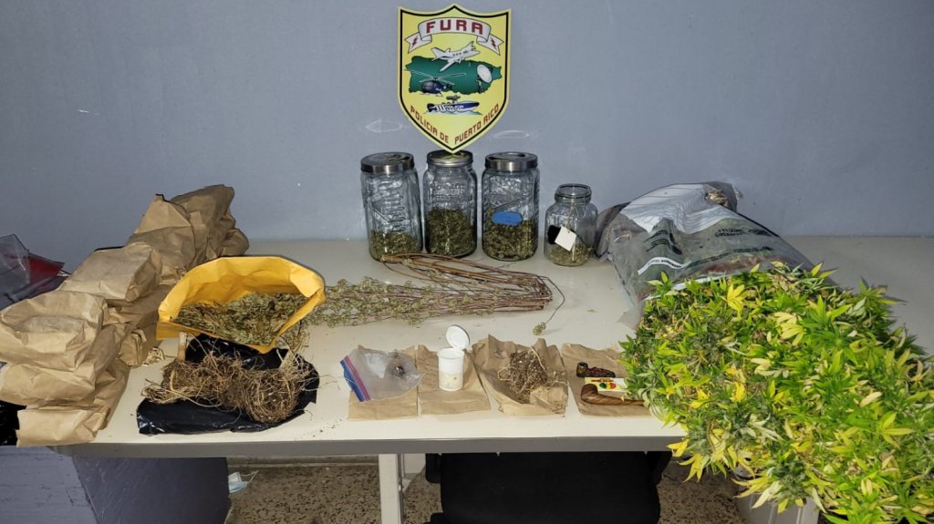  Polic&iacute;a arresta a un individuo y le ocupan marihuana en diferentes formas en allanamiento 