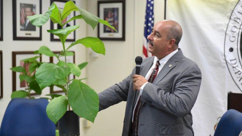  Secretario de Agricultura anuncia repartir&aacute; 50,000 &aacute;rboles de Teca 