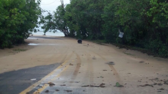LoÃ­za trabaja a todo vapor para salir de la emergencia