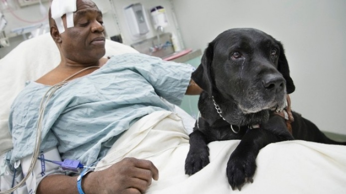 Un ciego y su perro guÃ­a por poco son atropellados por un metro en Nueva York