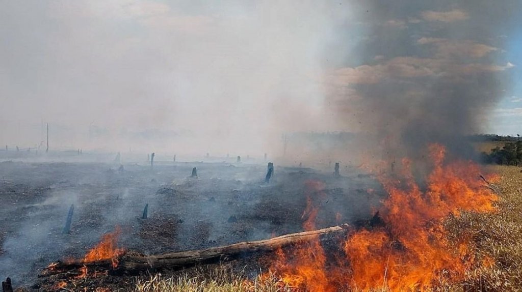  Brasil intensificar&aacute; medidas para combatir avance de fuegos en Pantanal 