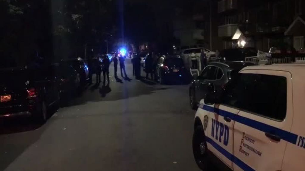  Video: Apu&ntilde;alan a varias personas, ni&ntilde;os incluidos, en una guarder&iacute;a privada en Nueva York 