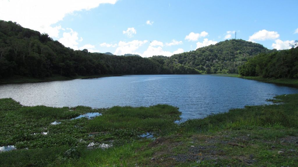  Disminuye la sequ&iacute;a severa en Puerto Rico de 13,08 % a 12,03 % 