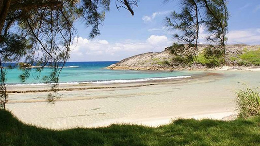  Encuentran parte de un cuerpo en Playa de Arecibo 