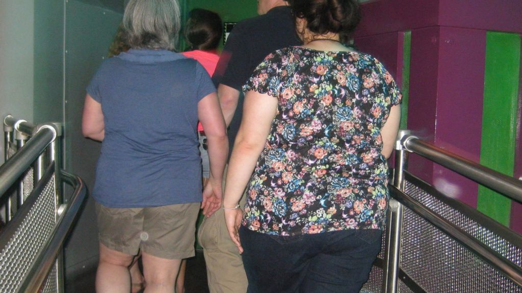  Casi la mitad de poblaci&oacute;n adulta en EE.UU ser&aacute; obesa en 2030, seg&uacute;n estudio 