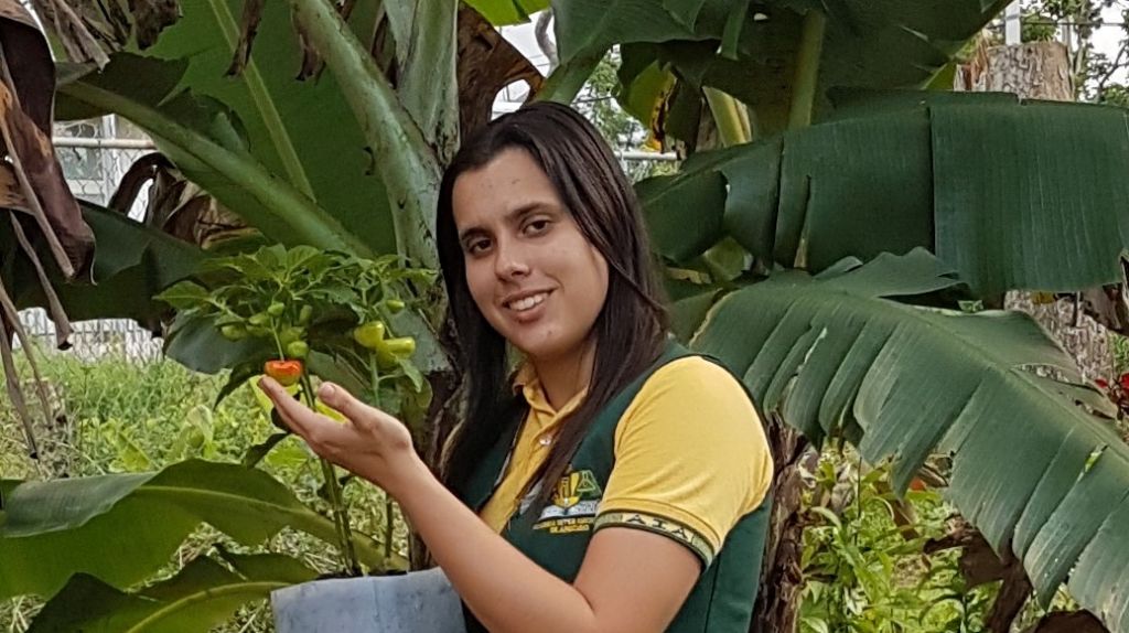  Estudiante Boricua inventa alimento orgánico para las plantas 