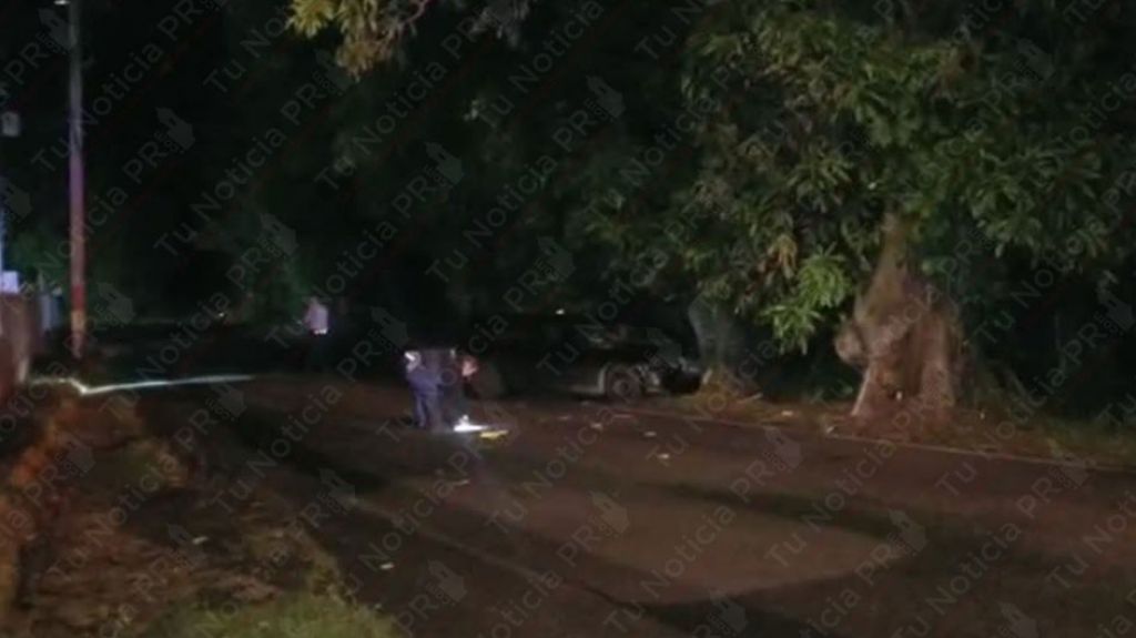  Video: Muere conductora de 21 a&ntilde;os al chocar con un arbol en Toa Alta 