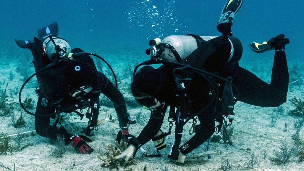  Un d&iacute;a de buceo en Florida tuvo desenlace letal para turista de Nueva York 