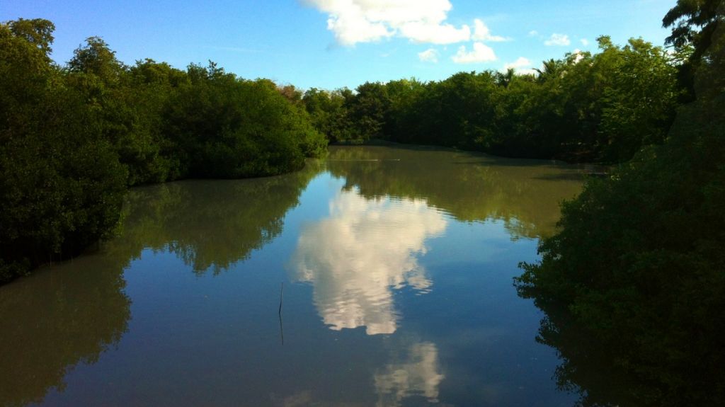  Piden reconsideraci&oacute;n en asignaci&oacute;n de fondos para el Ca&ntilde;o Mart&iacute;n Pe&ntilde;a 