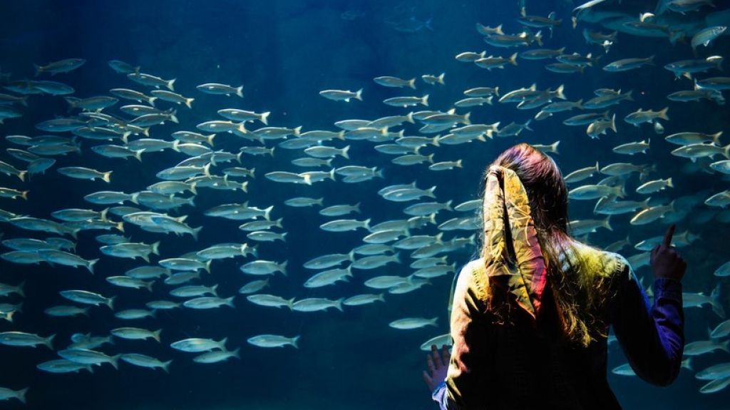  Realizan el primer implante de vagina con piel de pescado en Colombia 