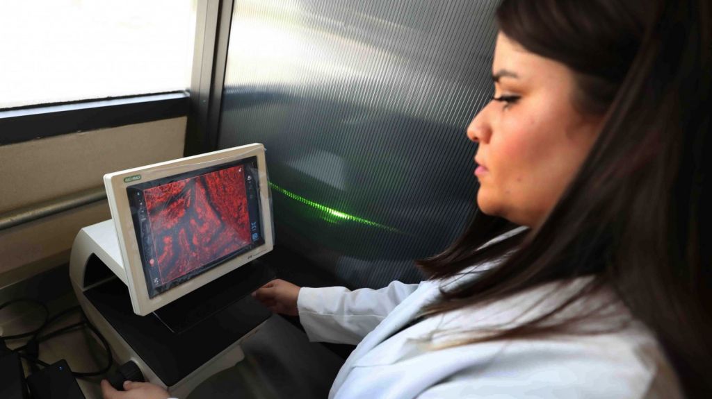  Investigadores mexicanos desarrollan tratamiento innovador contra el melanoma 